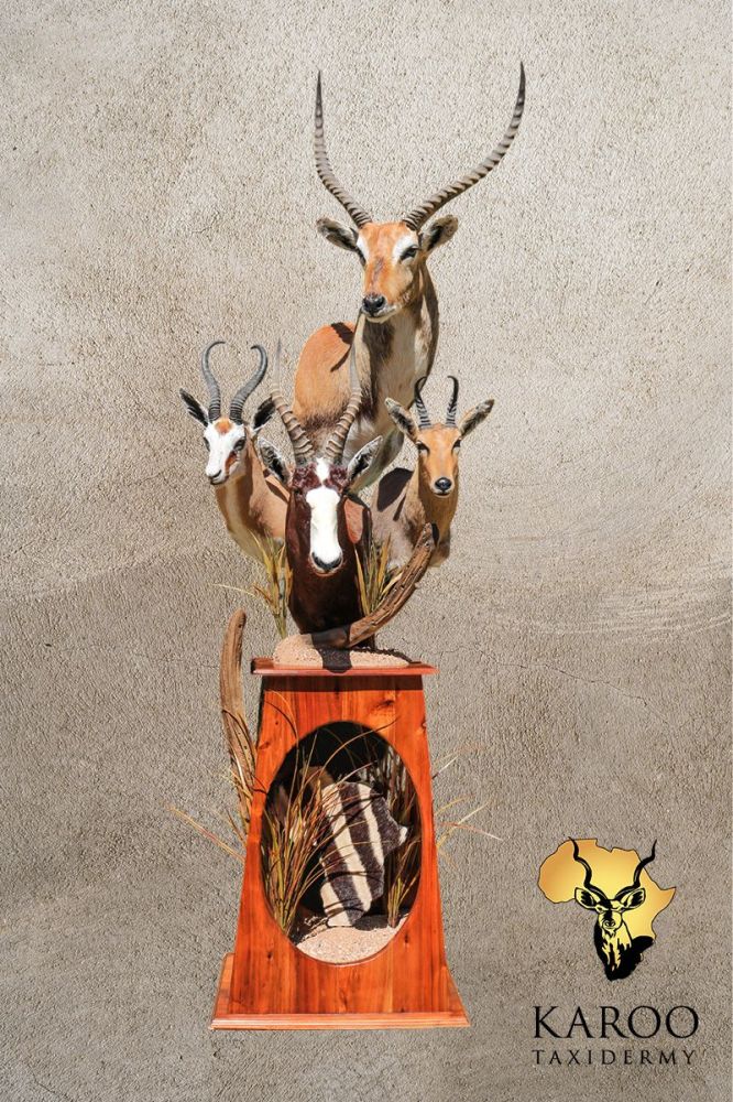 Multi-Species Pedestal Bouquet featuring Lechwe, Common Springbok, Blesbok and Mountain Reedbuck