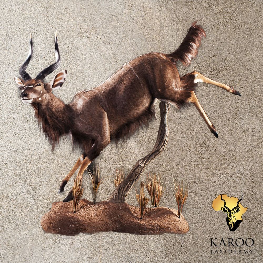 Nyala Jumping Full Mount &ndash; Looking ⅛ Left