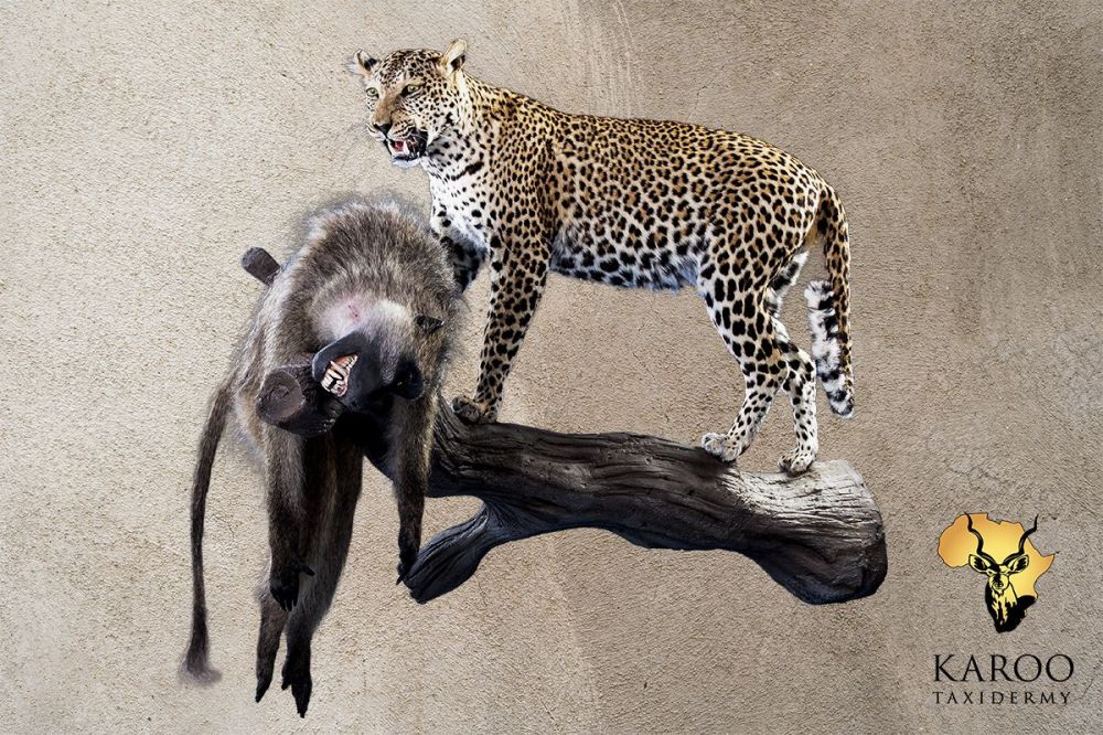Leopard and Baboon Full-Mount Wall Diorama