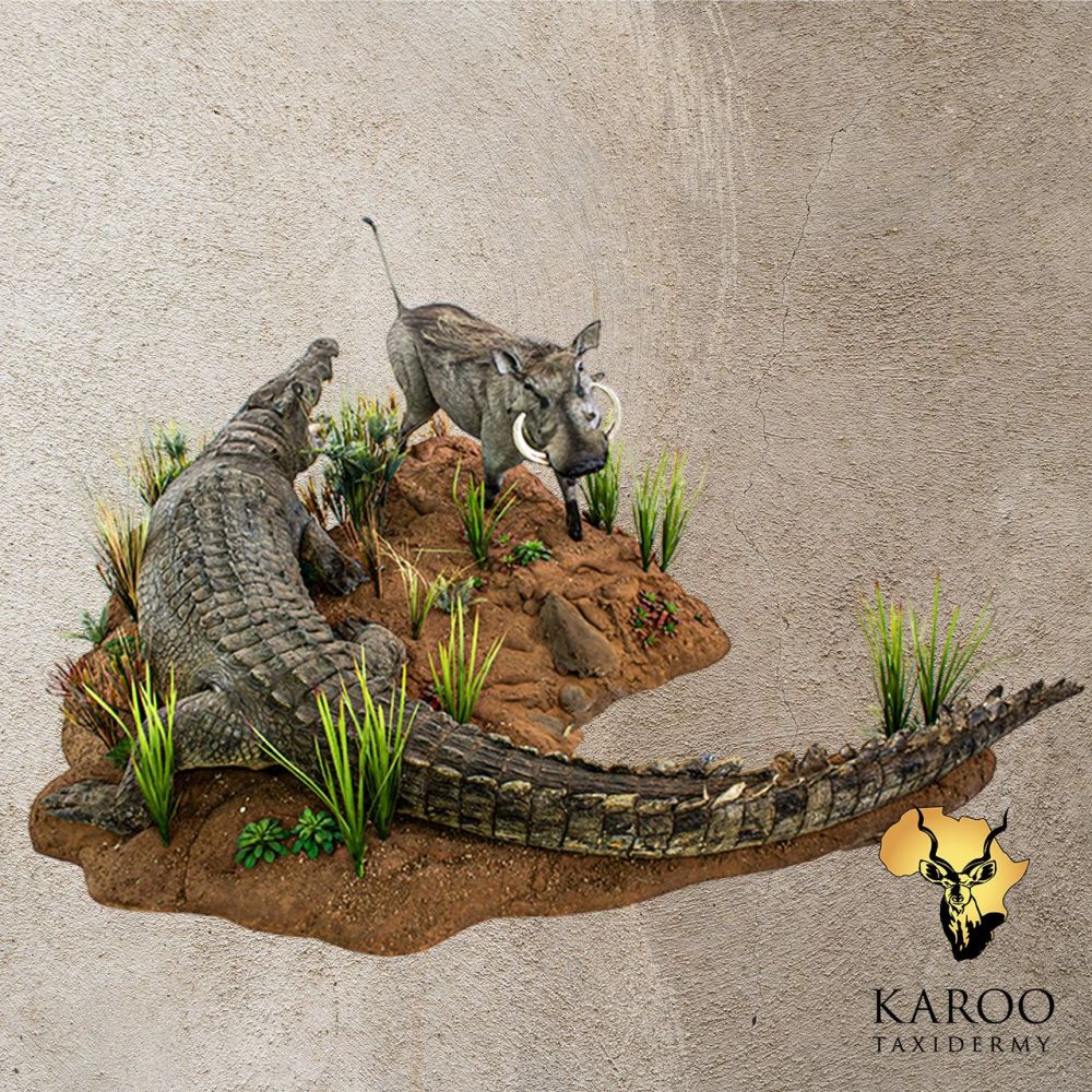 Nile Crocodile and Warthog Full-Mount Diorama