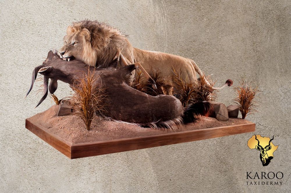 Lion and Nyala Predator-and-Prey Full-Mount Diorama