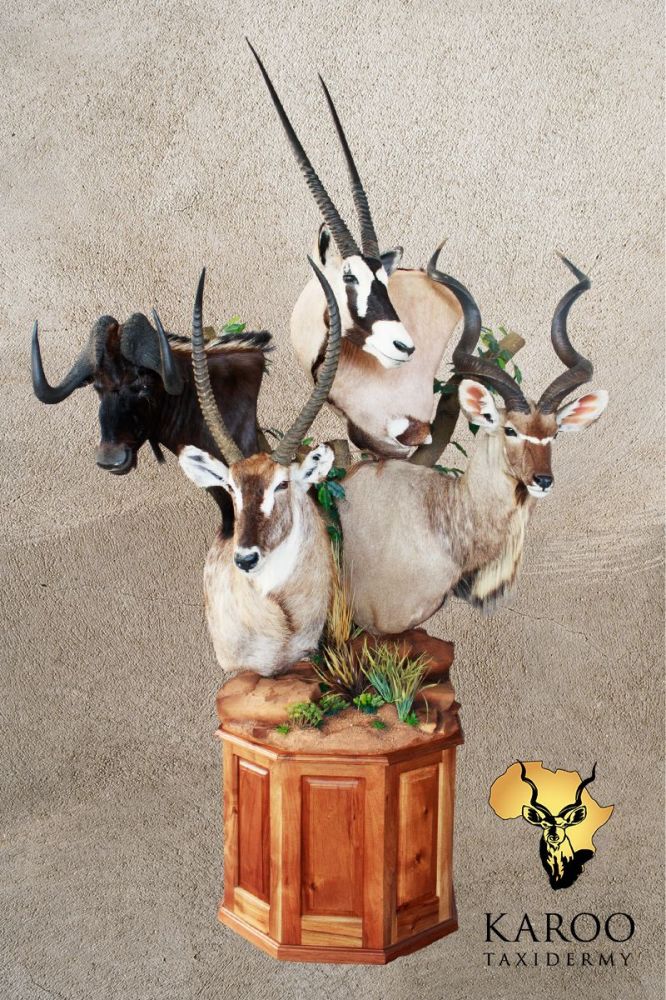 Gemsbok, Black Wildebeest, Waterbuck and Kudu Pedestal Bouquet