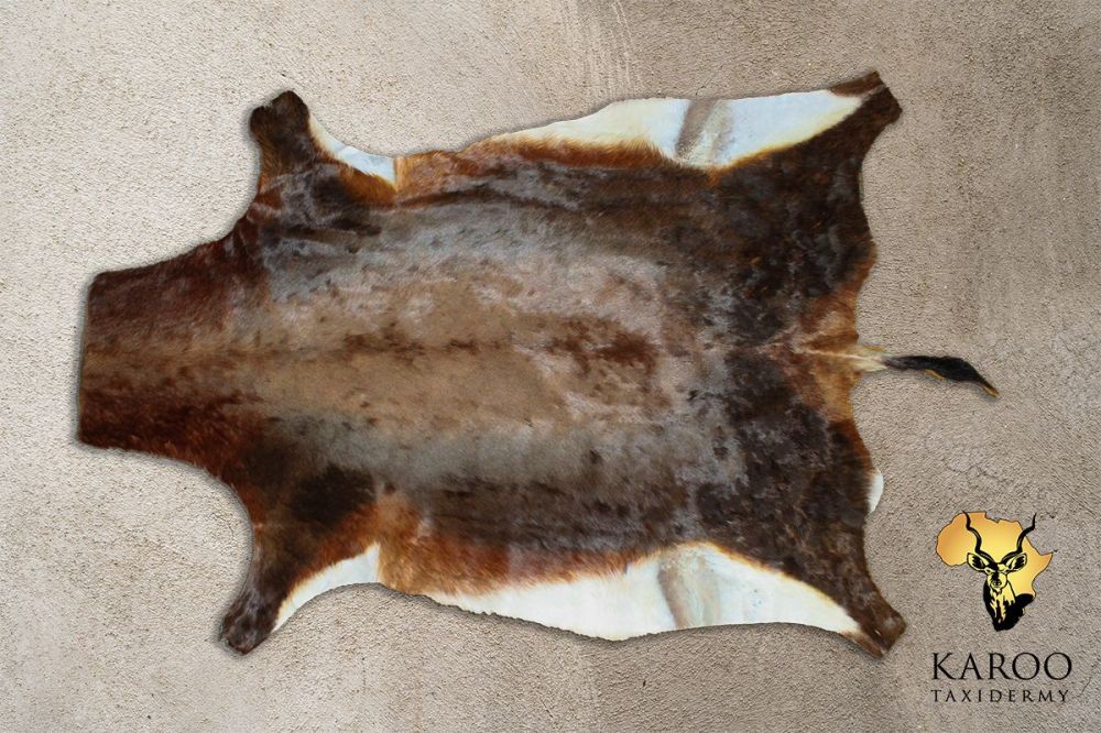 Blesbuck Flat Skin