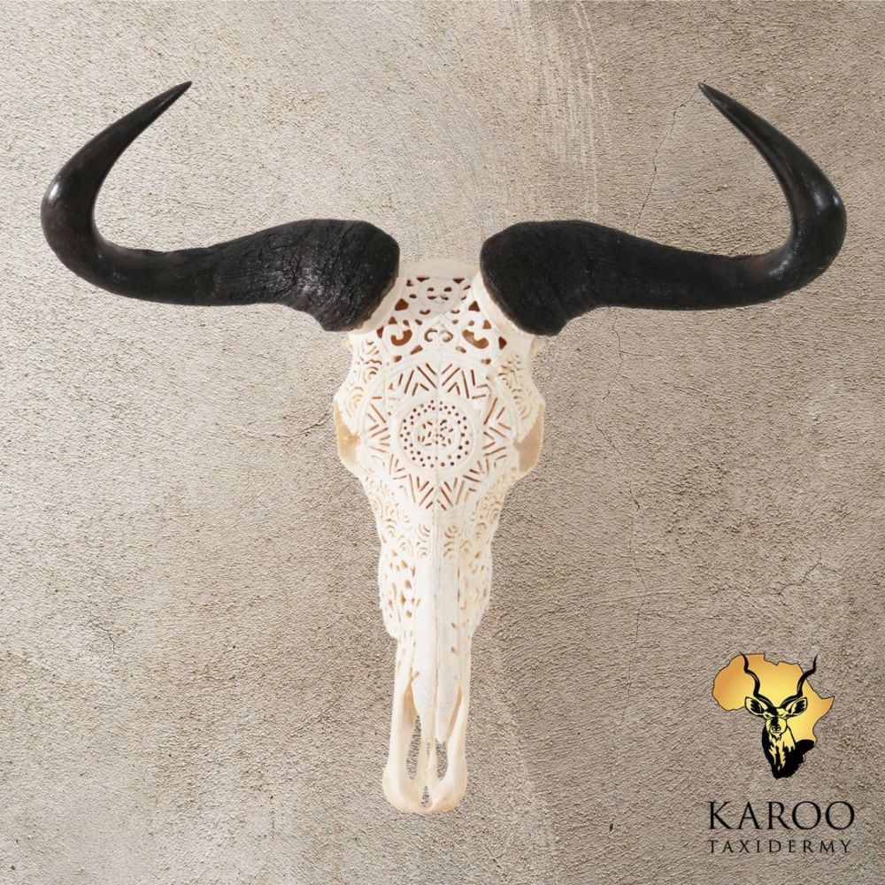 Blue Wildebeest Carved Skull Bleach