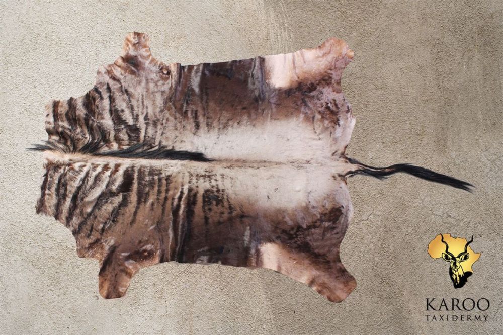 Blue Wildebeest Flatskin Tanned to Fur