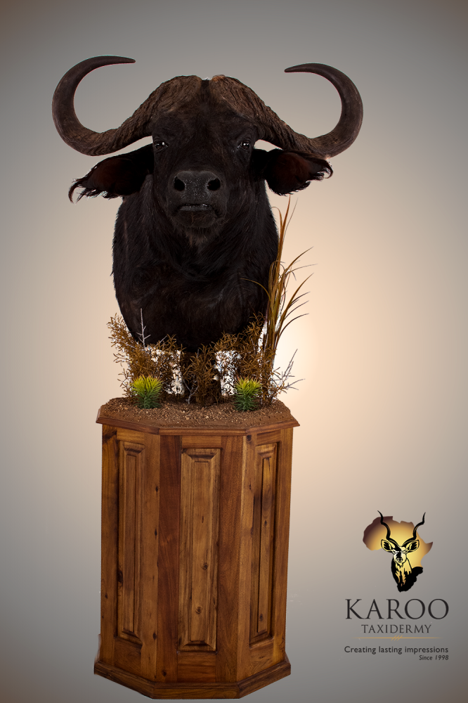 Buffalo Pedestal Mount