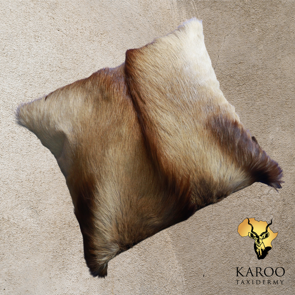 Copper Springbuck Flat Skin Scatter Cushion 40cm x 40cm