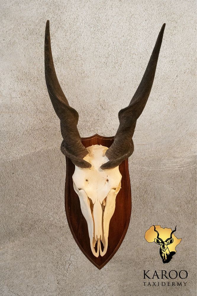 Eland European Mount