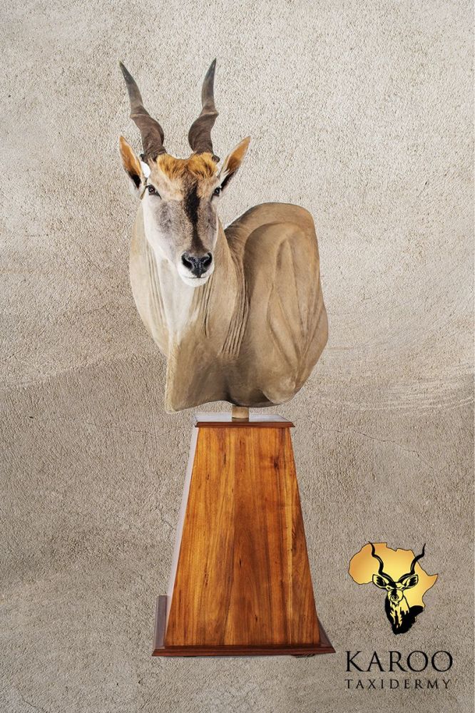 Eland Pedestal Mount Looking Quarter left on a Tapered Floor Pedestal Base