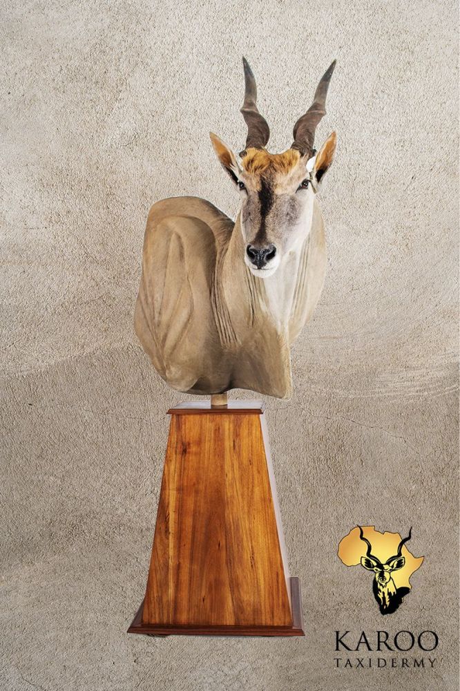 Eland Pedestal Mount Looking Quarter right on a Tapered Floor Pedestal Base