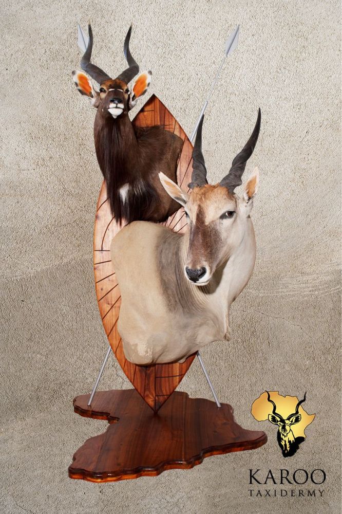 Eland And Nyala Wall Pedestal on a Zulu Shield With Spears and a African Map Base
