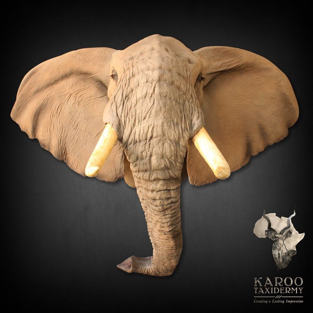 Elephant Replica Shoulder Mount