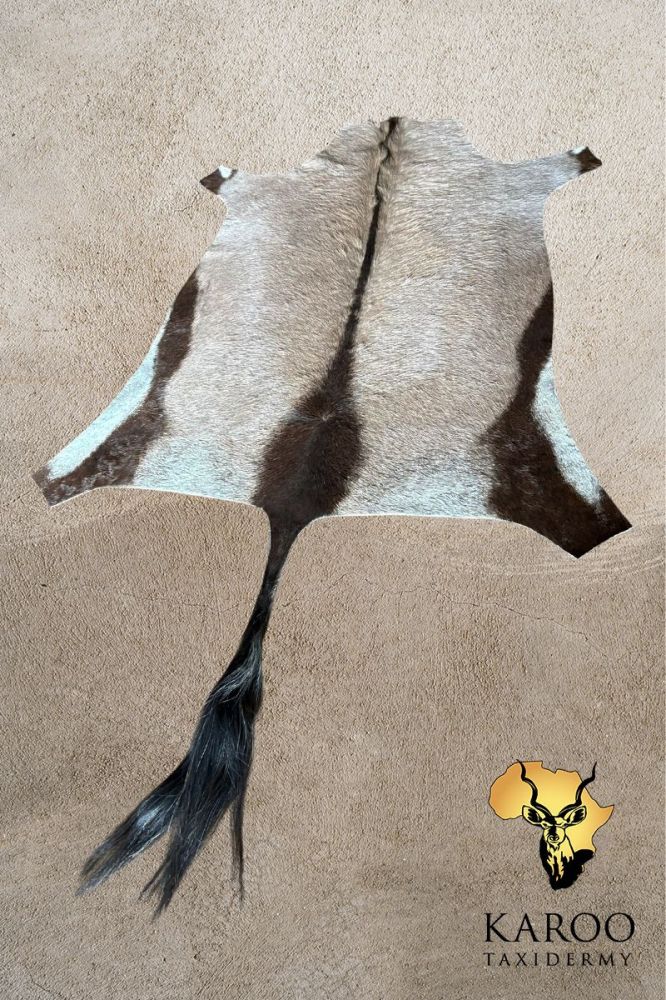 Gemsbuck Flat Skin With Tail