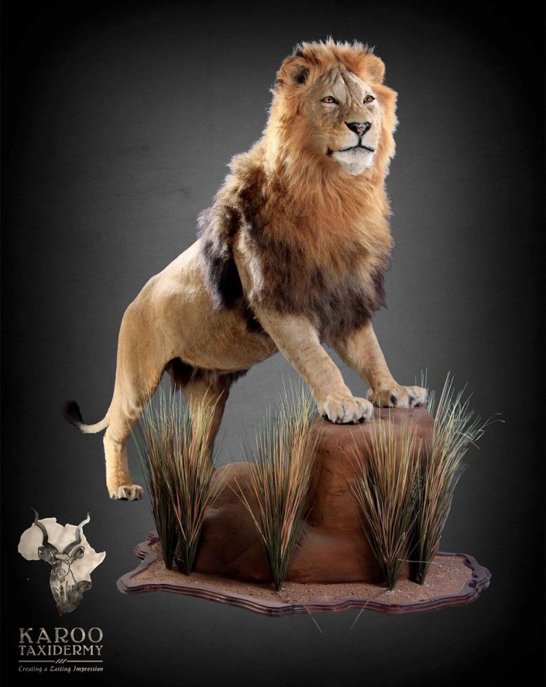full_lion_mount.jpg