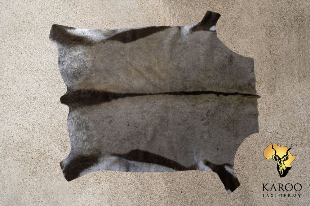 Gemsbok Flat Skin