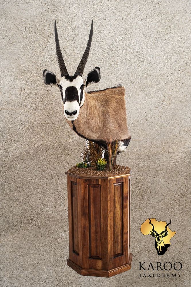 Gemsbok Floor Pedestal &ndash; Looking &frac14; Left on a Octagonal Pedestal base with Vegetation
