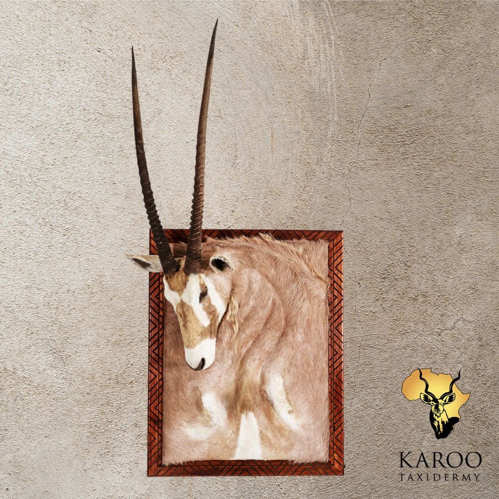 Gemsbok Framed Wall Portrait