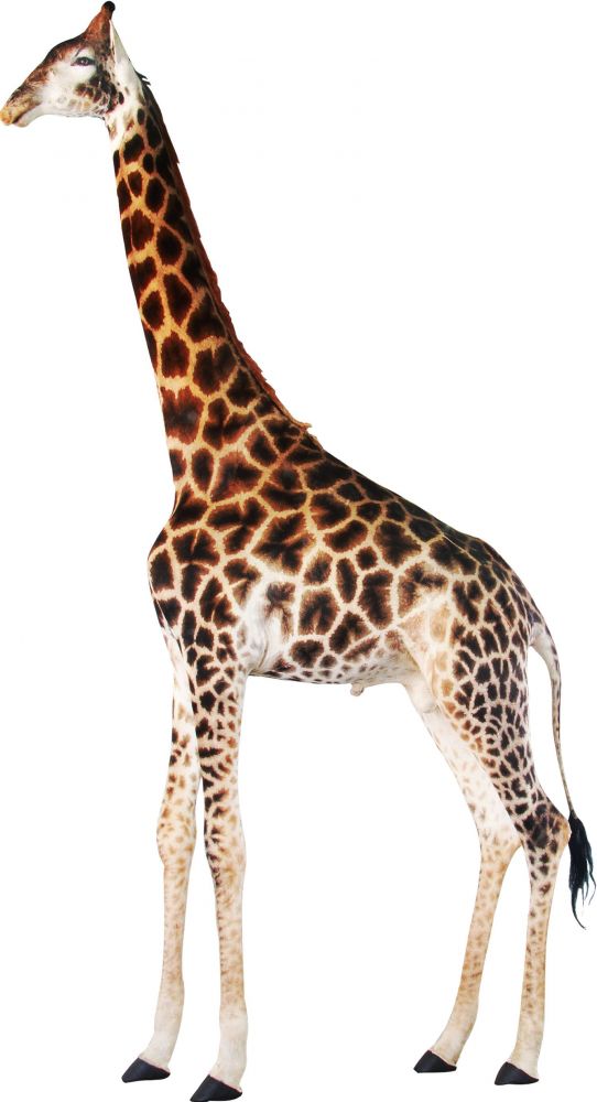 giraffe_full_mount1753368497.jpg