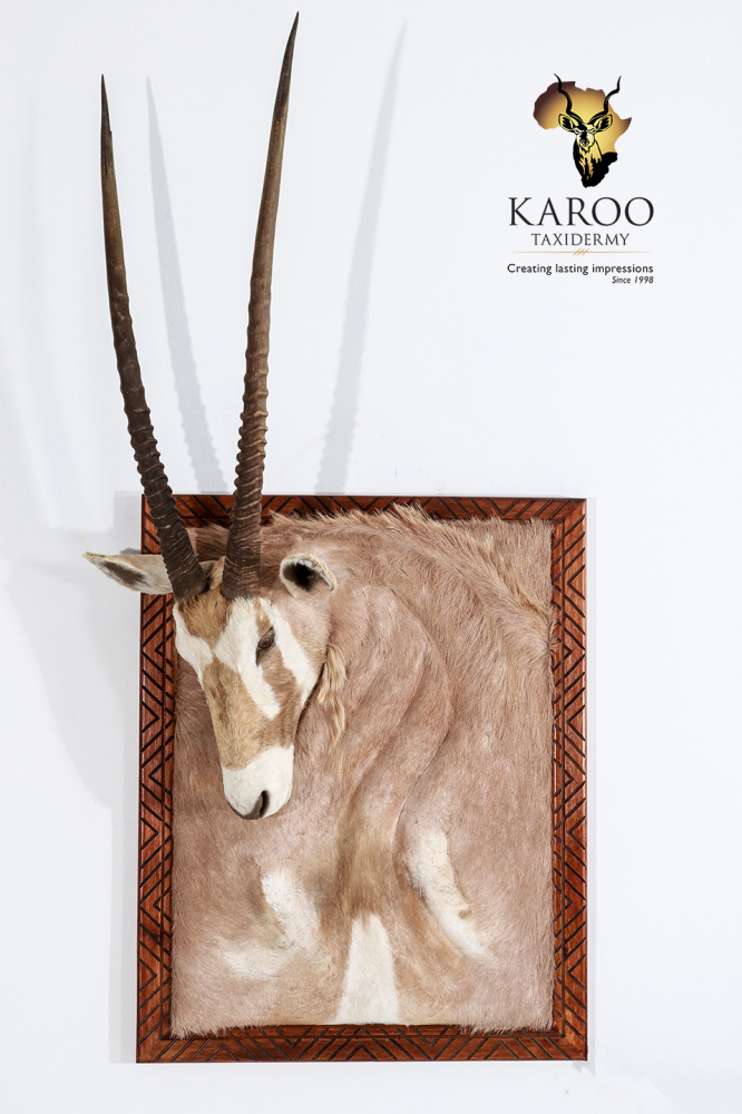 Golden Gemsbuck Wall Portrait