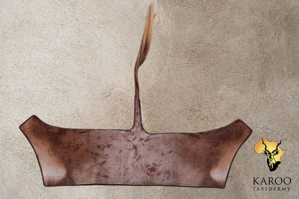 Golden Wildebeest Back Skin with Leather Trim
