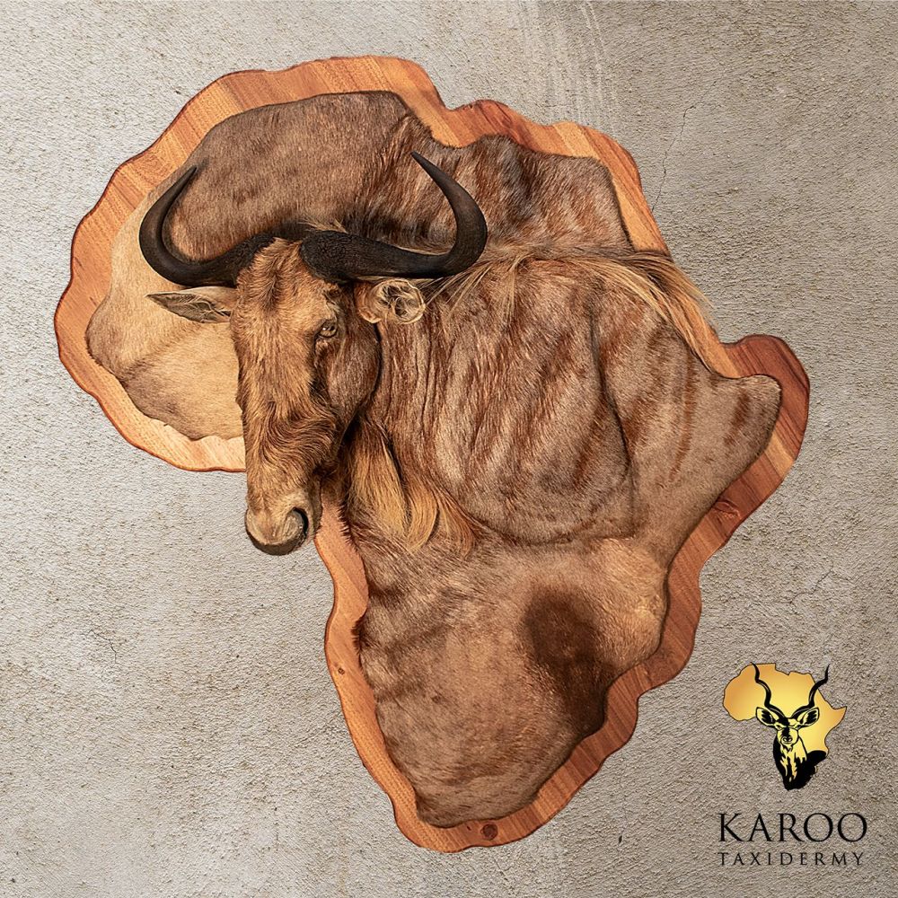 Golden Wildebeest Africa-Shaped Wall Portrait &ndash; Looking &frac14; Left