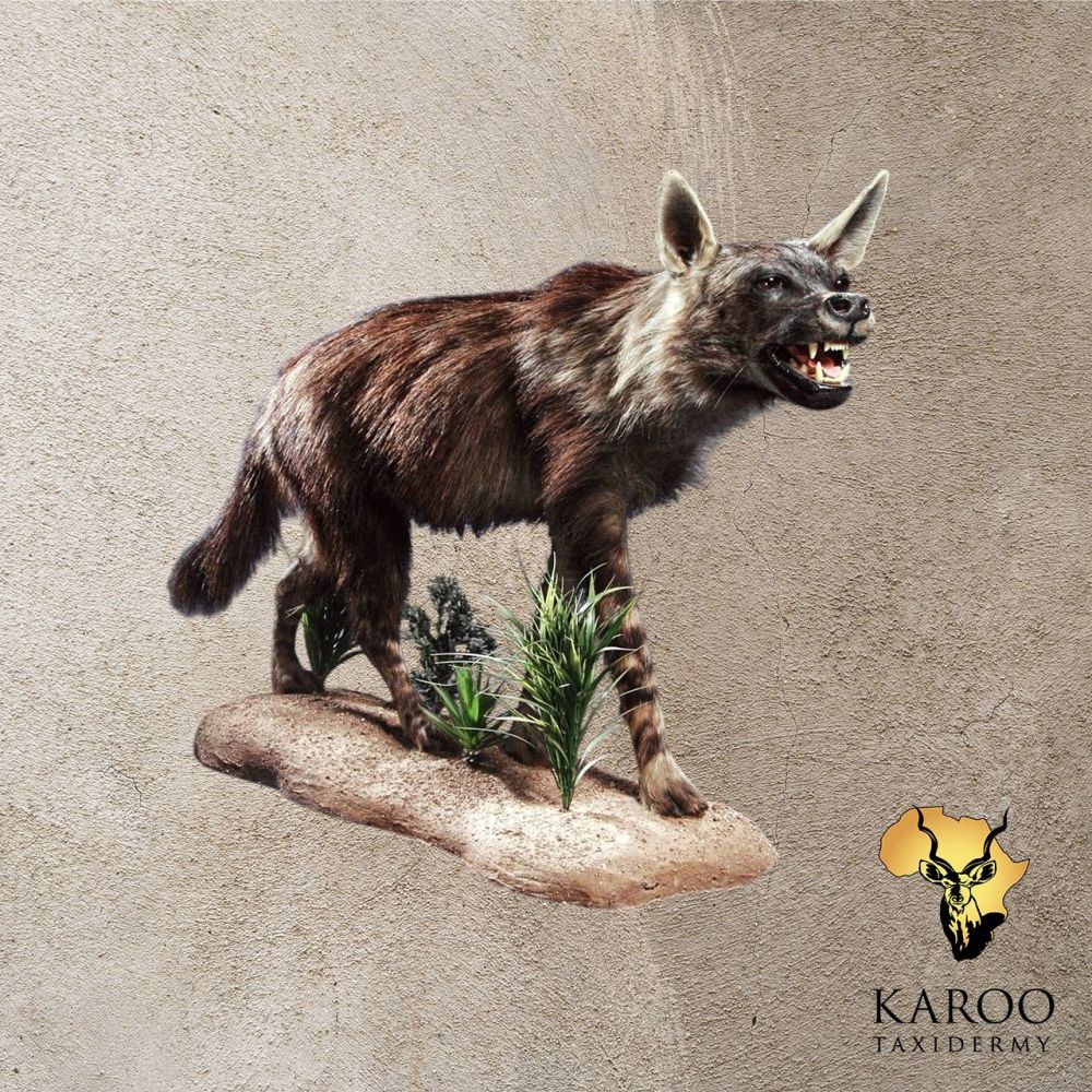 Hyena Mounts