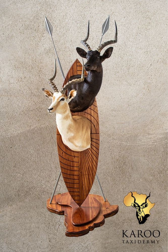 White Flanked and Black Impala Wall Pedestal on a Zulu Shield Pedestal Base
