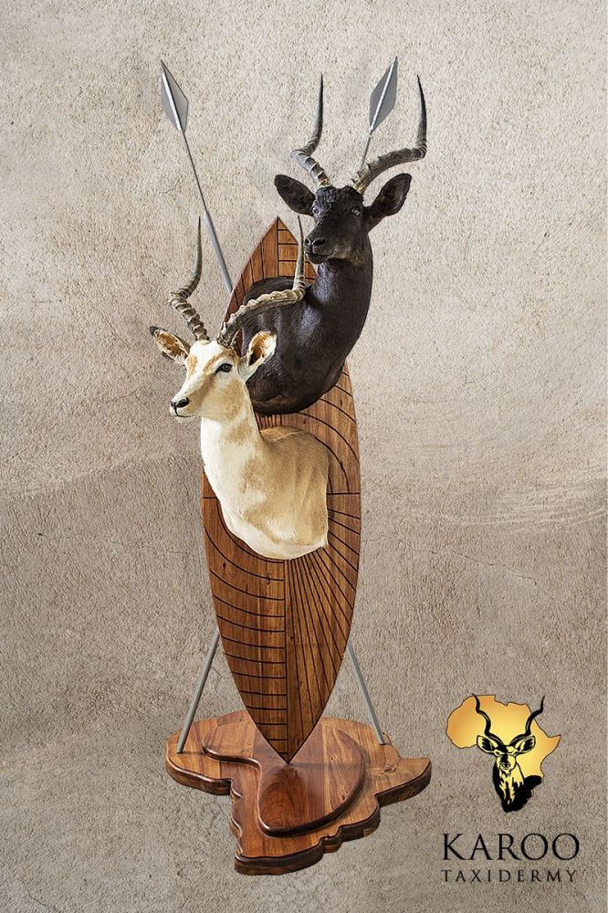 White Flanked and Black Impala Zulu shield pedestal