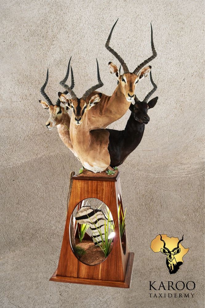 Impala Slam on a Custom Tapered Pedestal Bases with Habitat Scenery