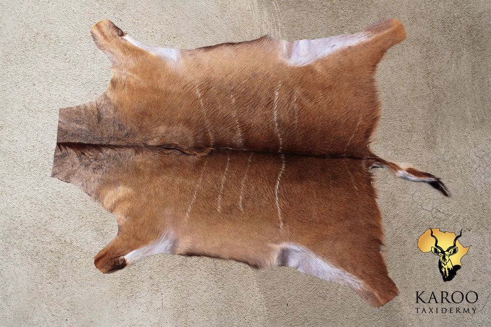 Kudu Flat Skin