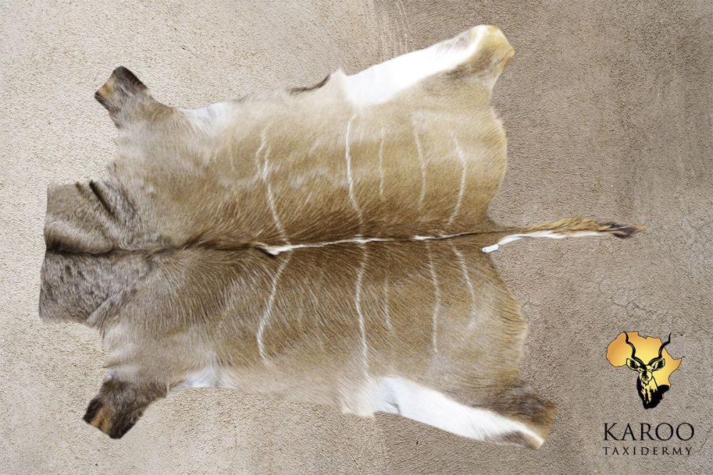 Kudu Flat Skin