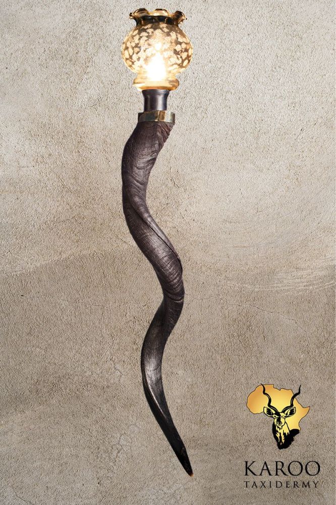 Kudu Horn Wall Light