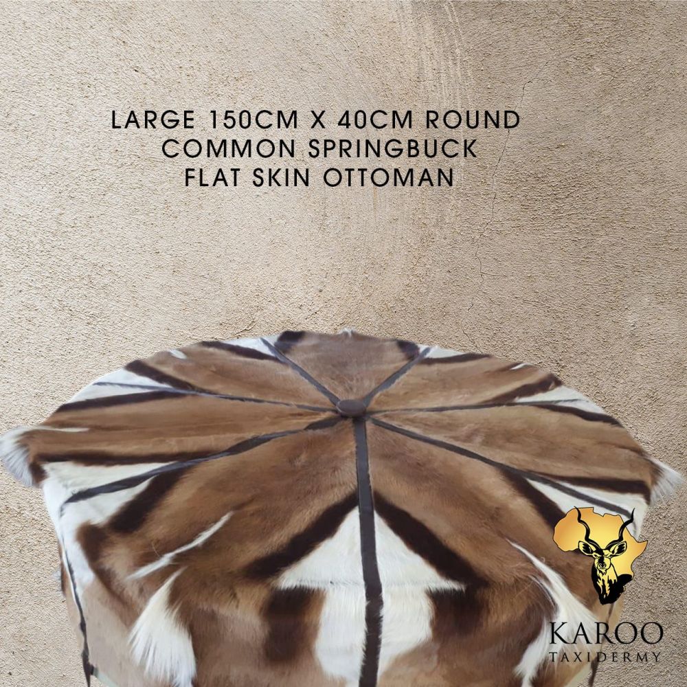 Large Round 150cm x 40cm Common Springbuck Flat Skin Round Ottoman