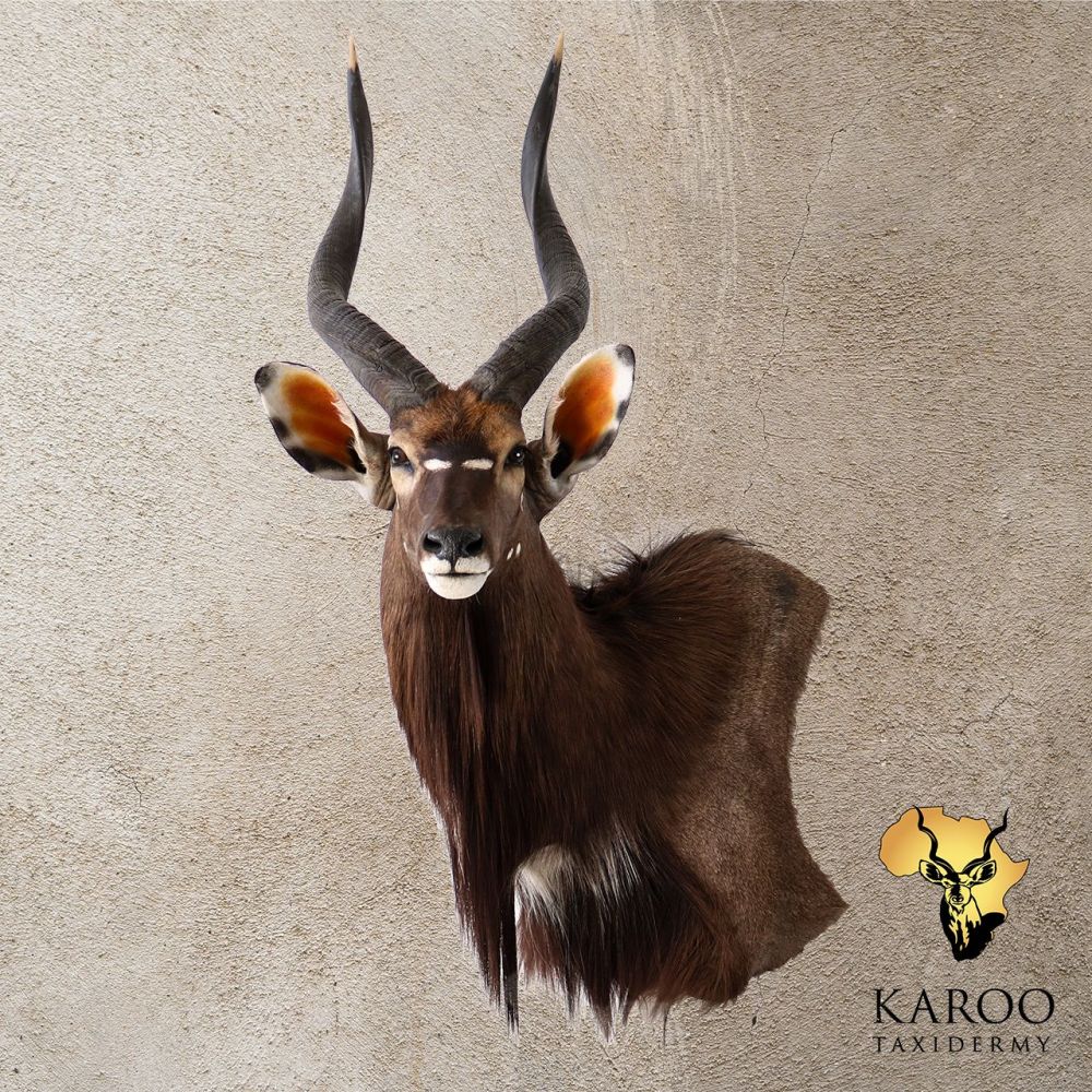 nyala_wall_pedestal_quarter_left.jpg
