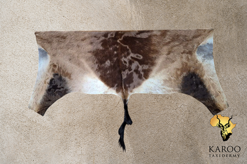 red_hartebeest_back_skin.png