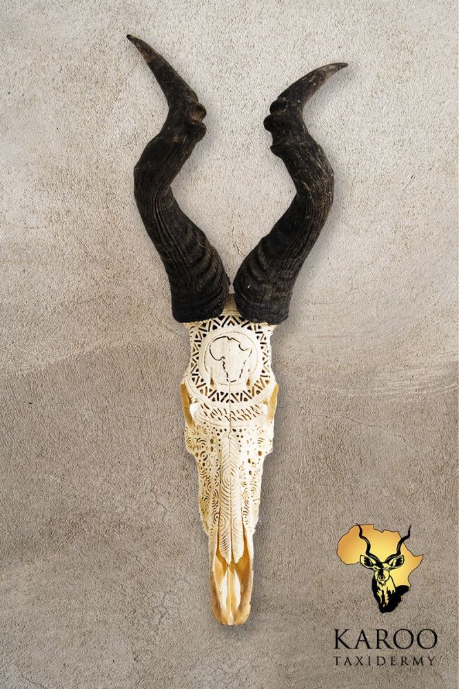 Red Hartebeest Carved Skull Bleach