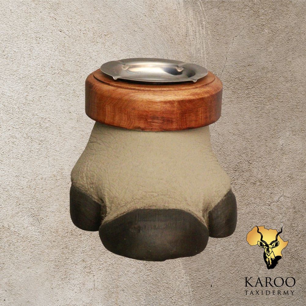 White Rhino Replica Foot Ashtray