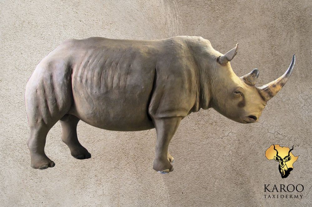 rhino_full_mount_straight.jpg