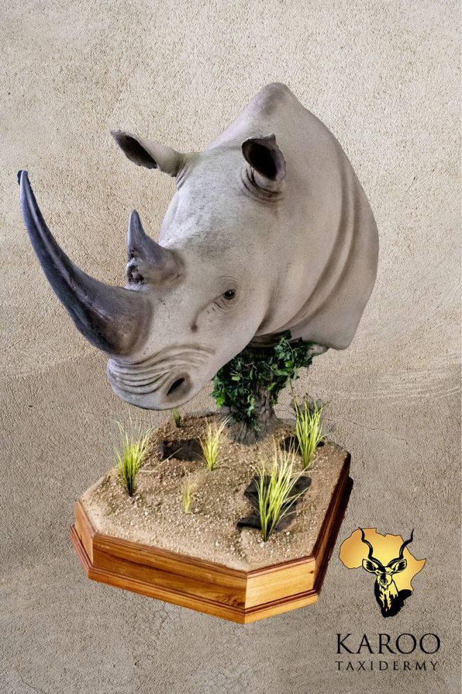 rhino_pedestal_mount_straight.jpg