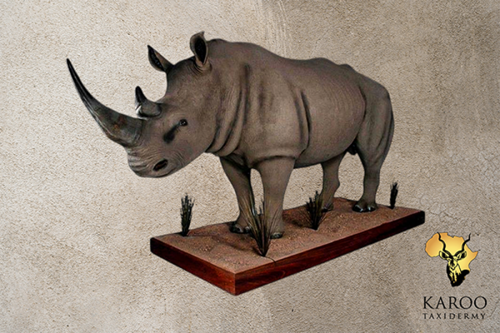White Rhino Replica Full Mount – Standing