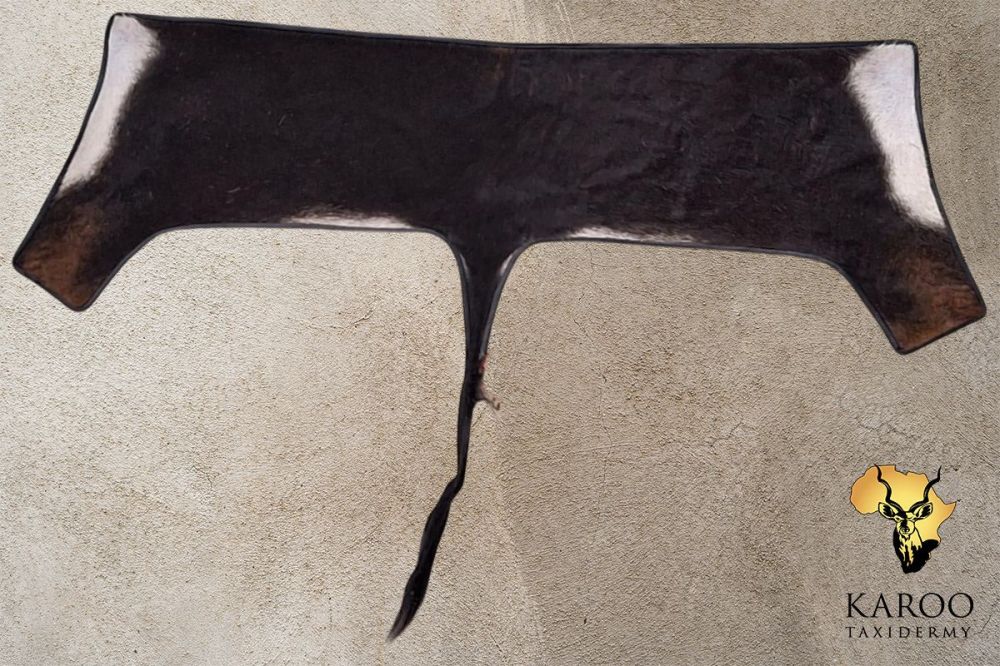 Sable Tanned to Fur Back Skin finished with Leather Trim