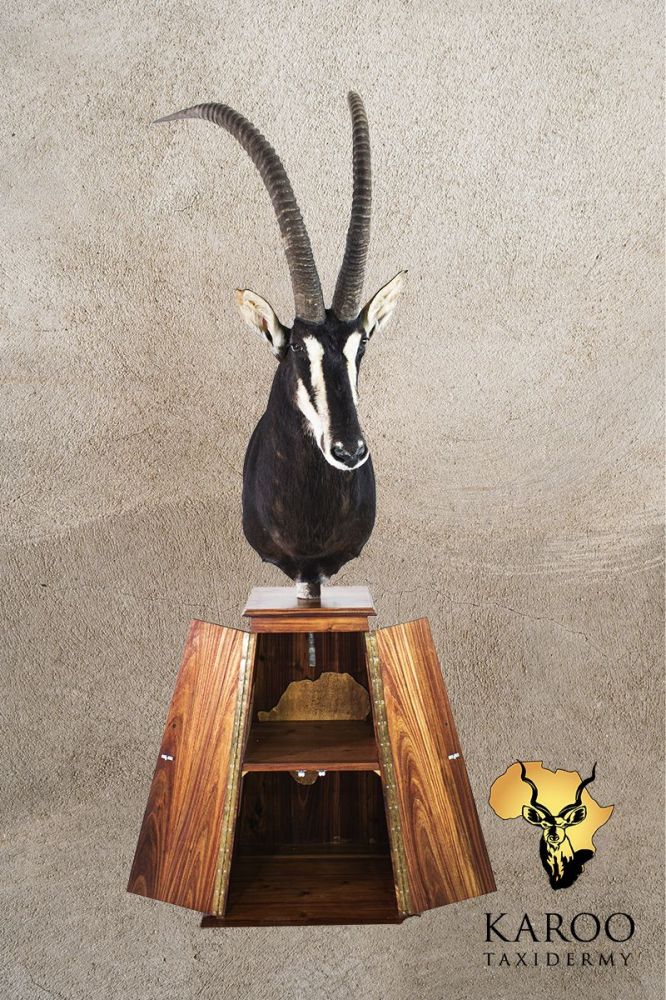 Sable Pedestal Mount Looking eighth Left on tapered pedestal base with storage doors