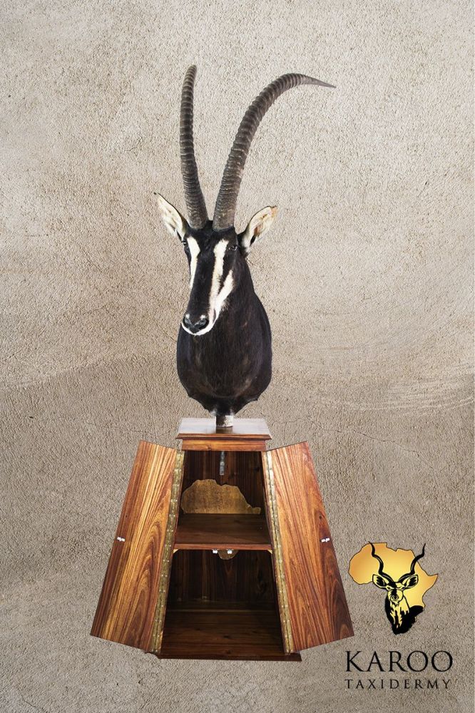 Sable Pedestal Mount Looking eighth Right on tapered pedestal base with storage doors