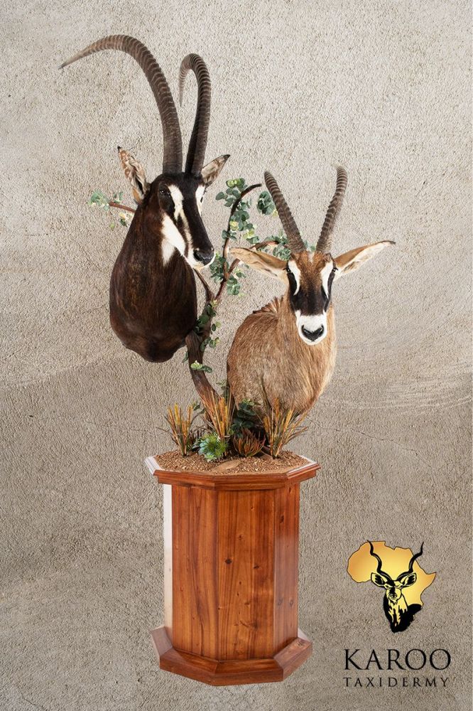 Sable Roan Floor Pedestal on an octagonal floor base with vegetation.jpg
