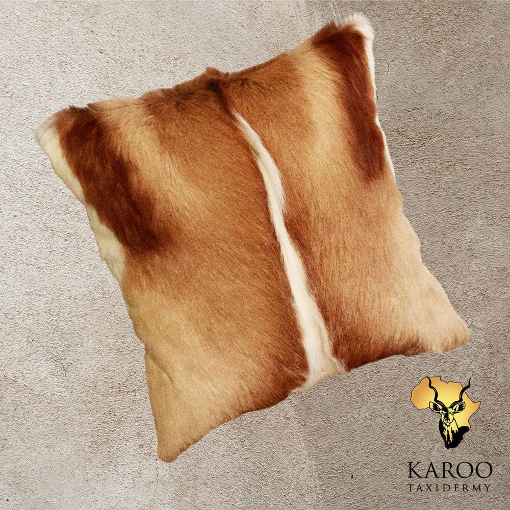 Common Springbuck FLat Skin Scatter Cushion 45cm x 45cm