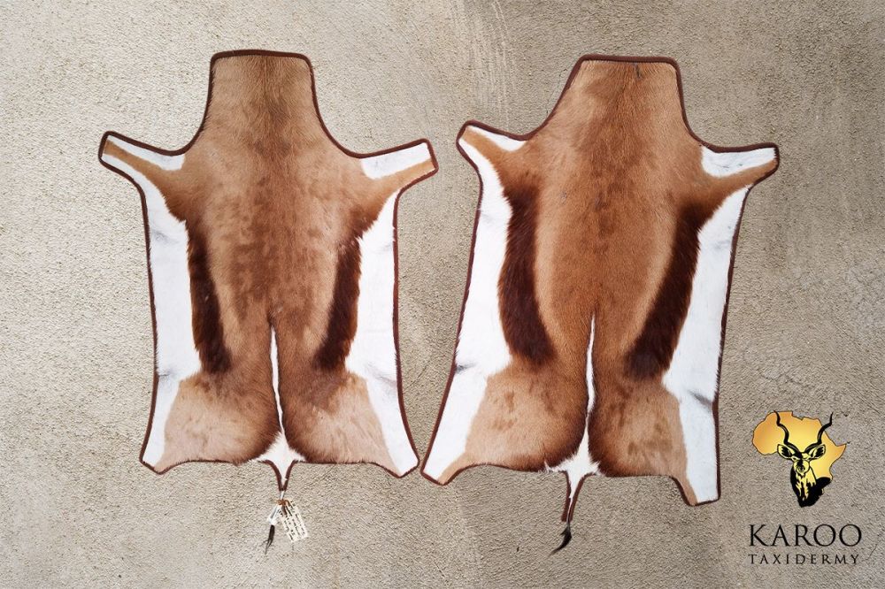 Common Springbuck Flat Skins with Leather Trim in colour Tan