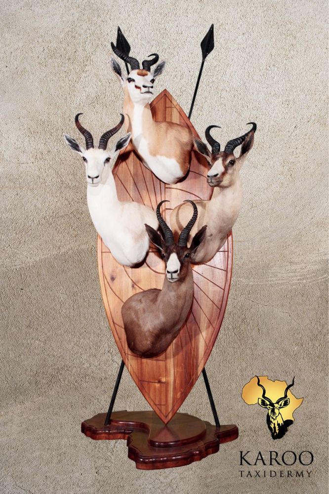 Springbuck Grand Slam African Shield Pedestal Display