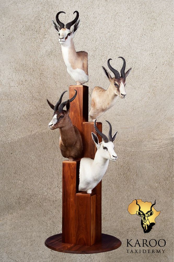 Springbuck Grand Slam Tower Pedestal Display