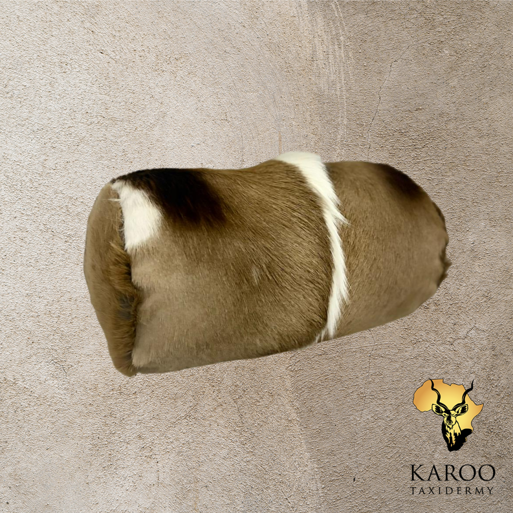 Springbuck Bolster Pillow