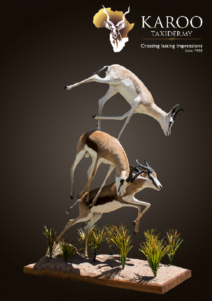 SPRINGBUCK TRIO DIORAMA